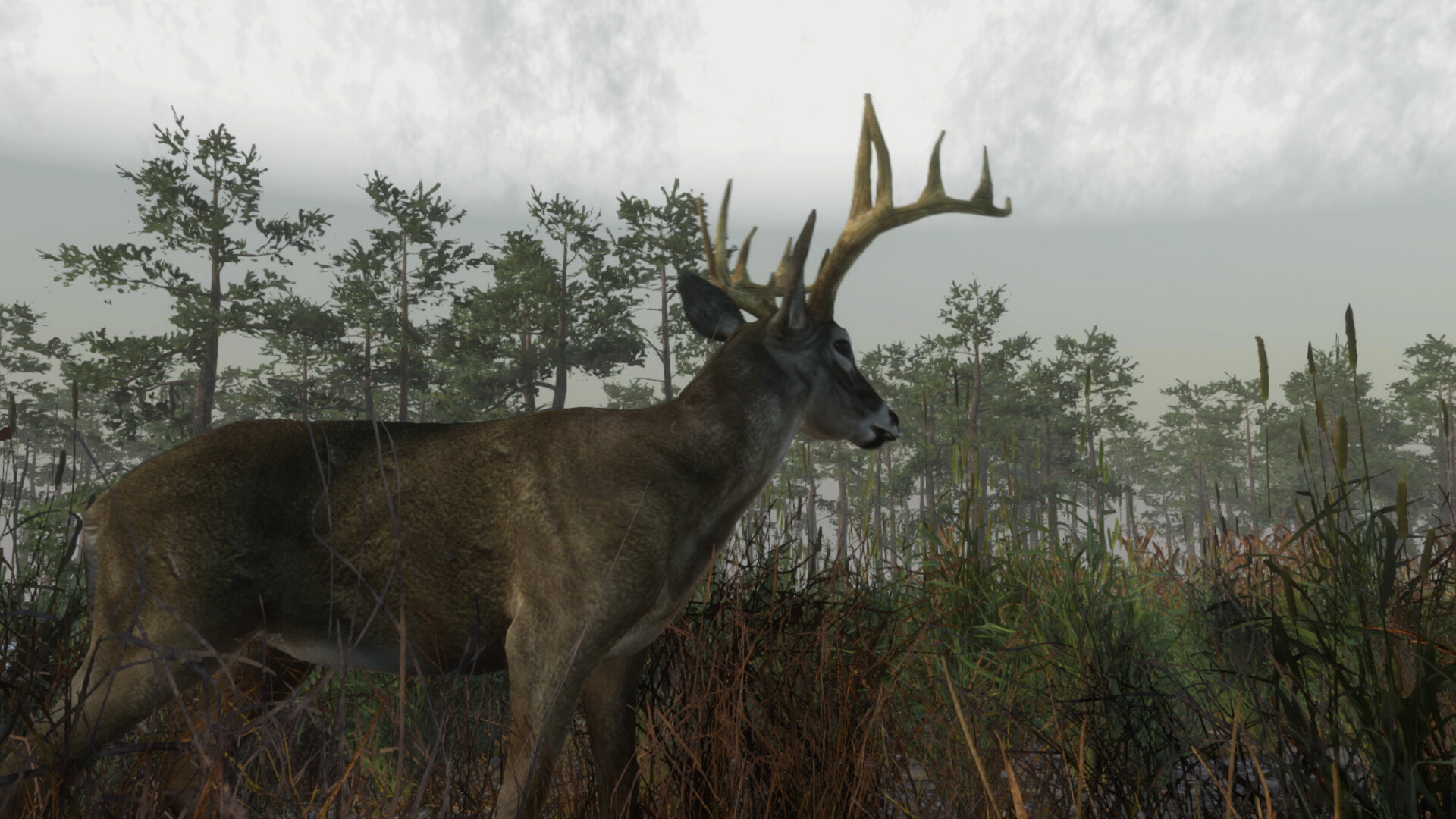 Deer Hunting Camp Screenshot 0