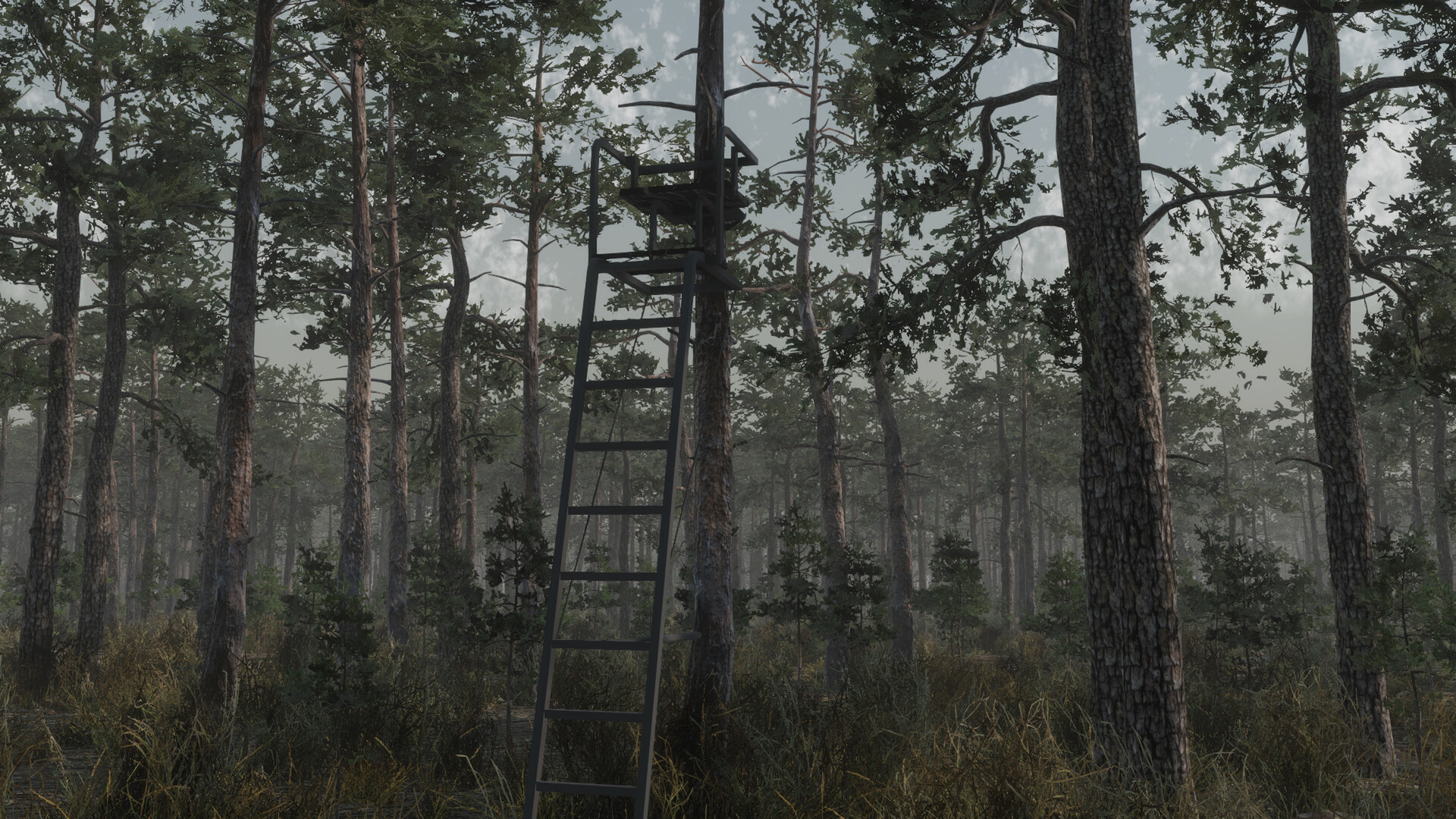 Deer Hunting Camp Screenshot 2