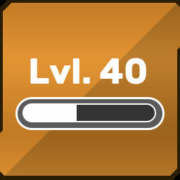 Level icon