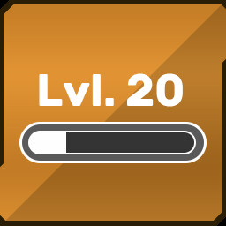 Level icon