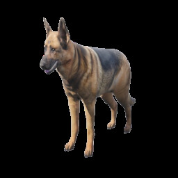 Mans best friend icon