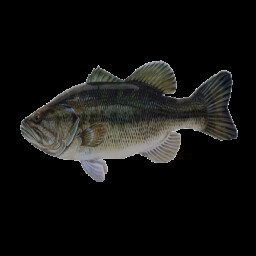 You might know what you're doing icon