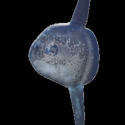 uhhhhhhhh too big put it back in the water icon