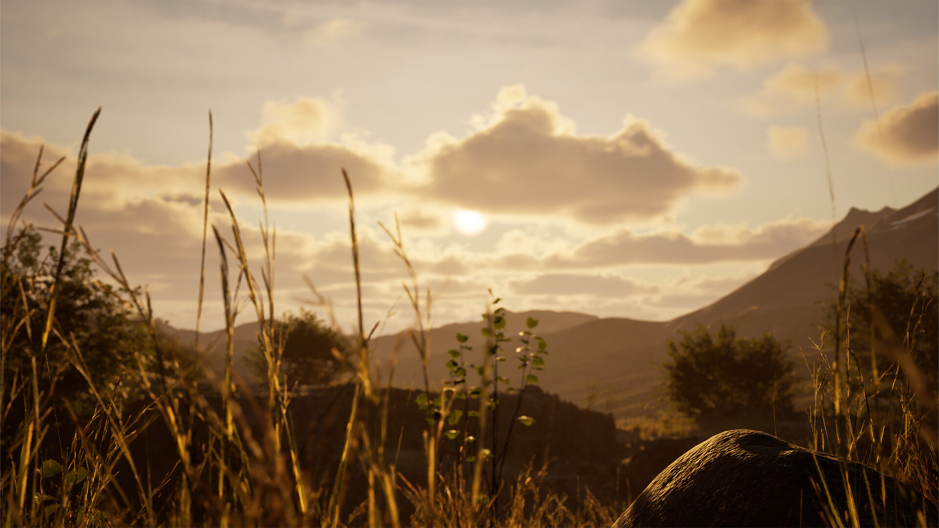 Stone Simulator – Just Be a Rock Screenshot 11