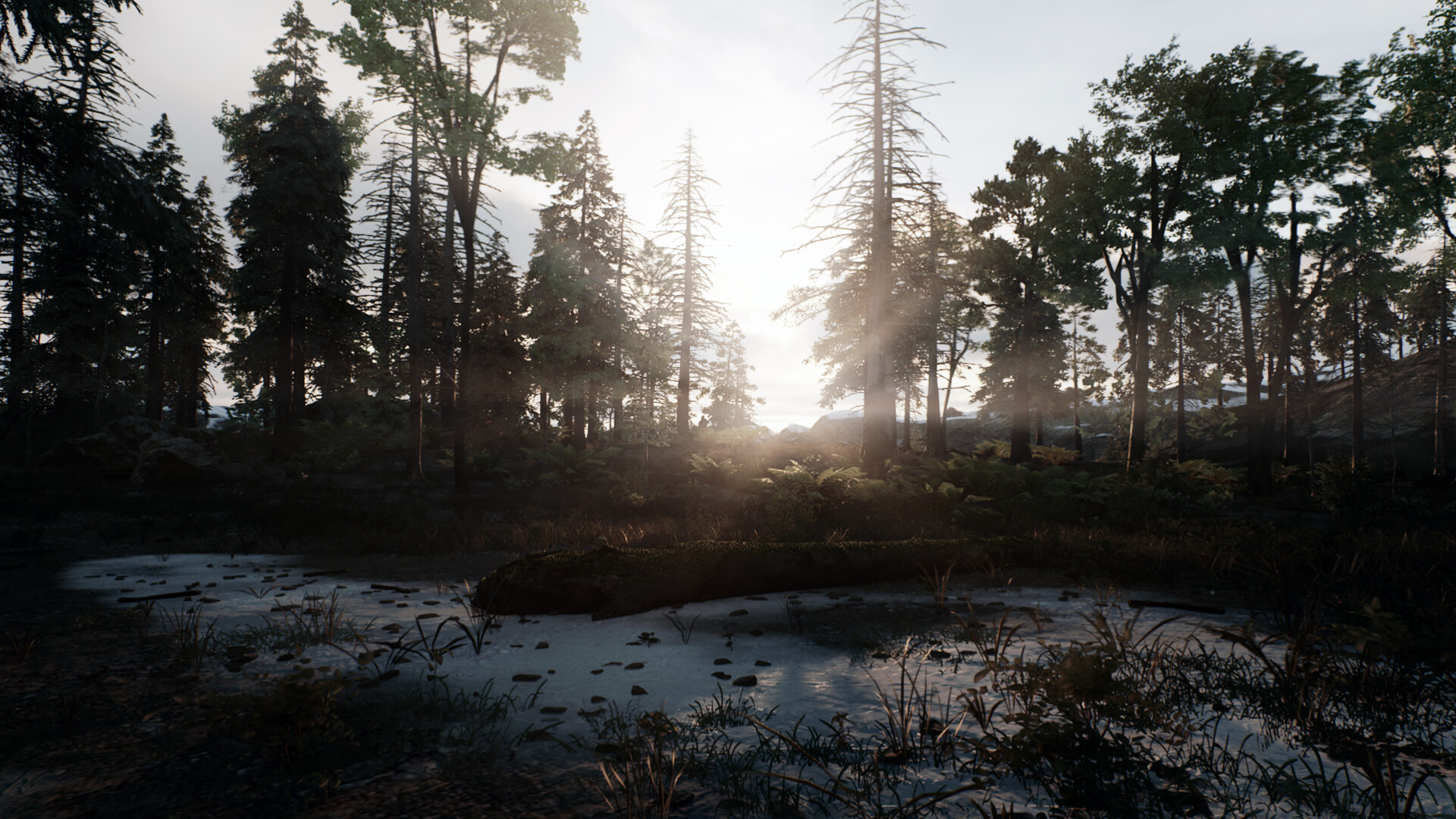 Skye: The Misty Isle Screenshot 6