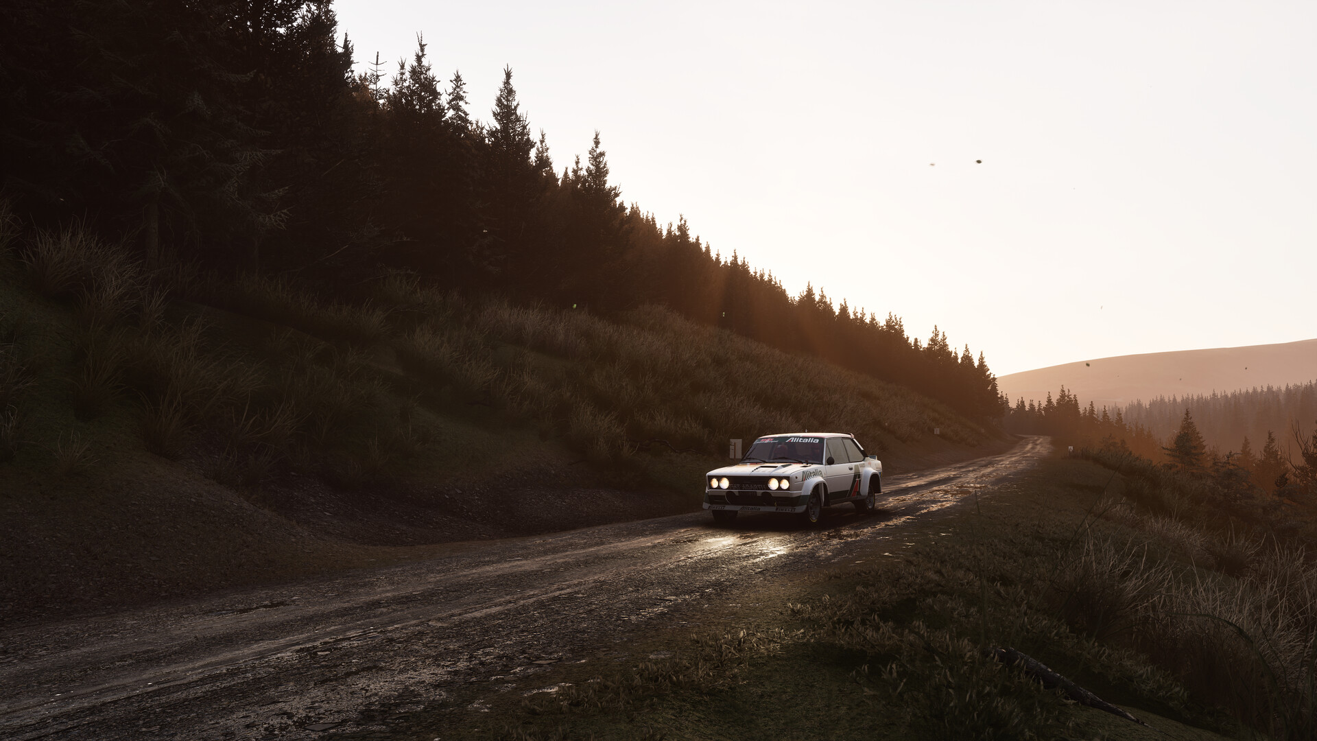 Assetto Corsa Rally Screenshot 81