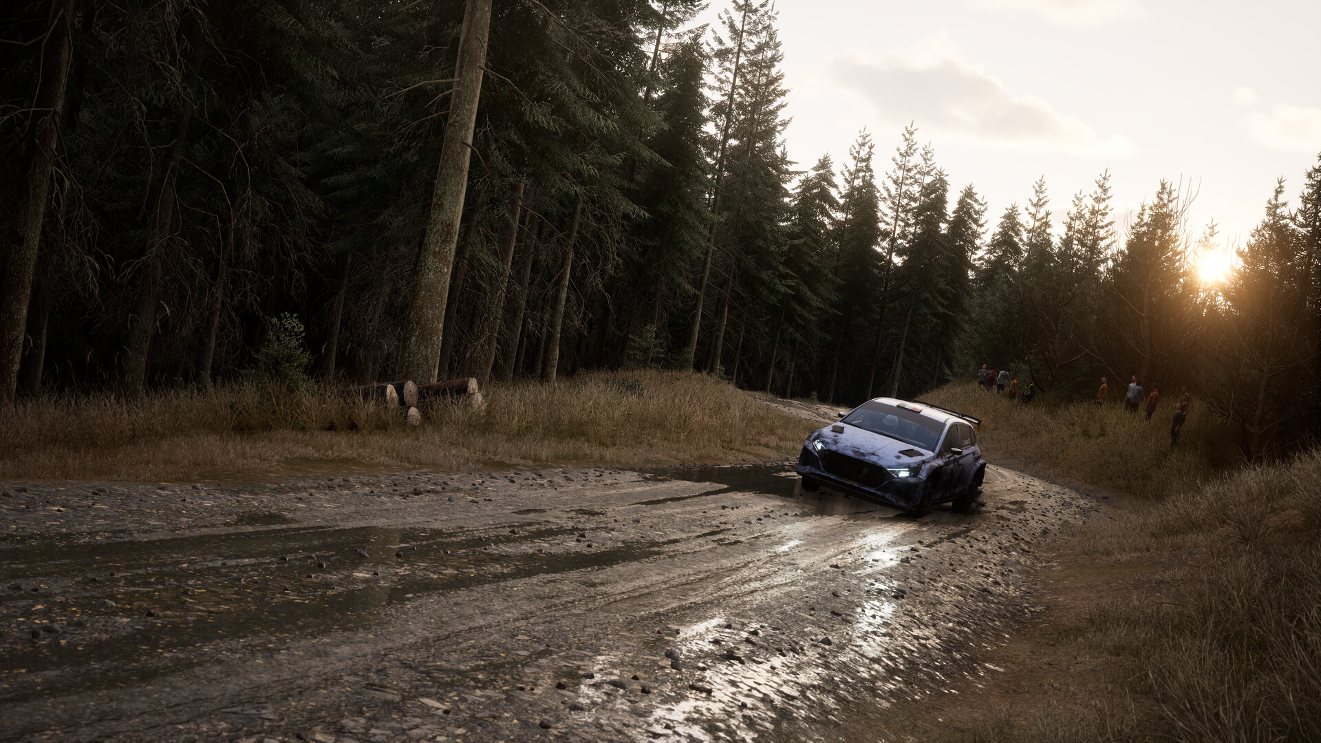 Assetto Corsa Rally Screenshot 77