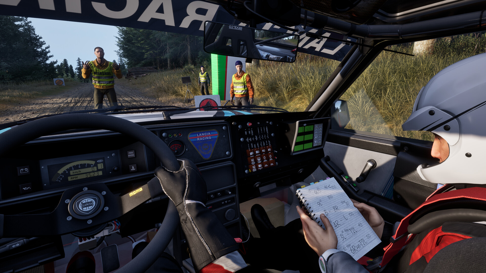 Assetto Corsa Rally Screenshot 108