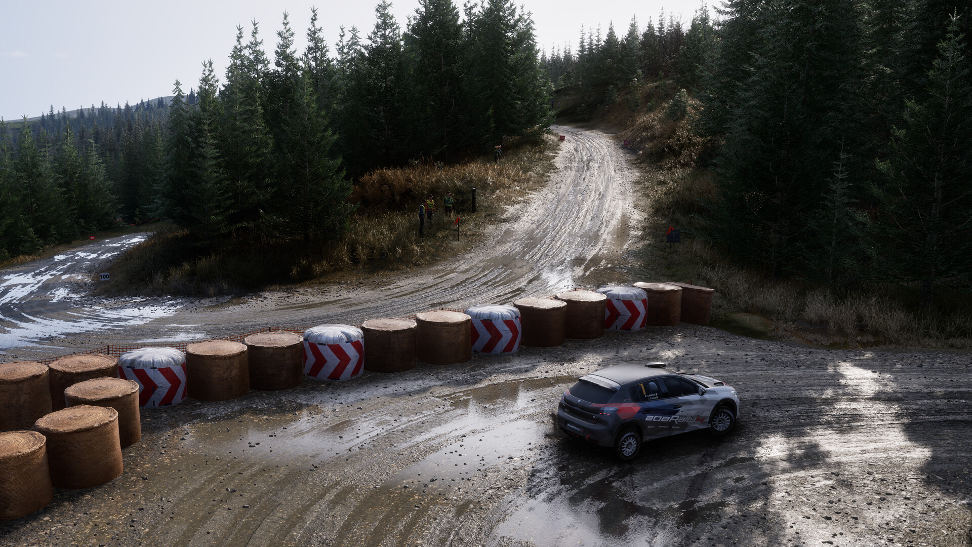 Assetto Corsa Rally Screenshot 106