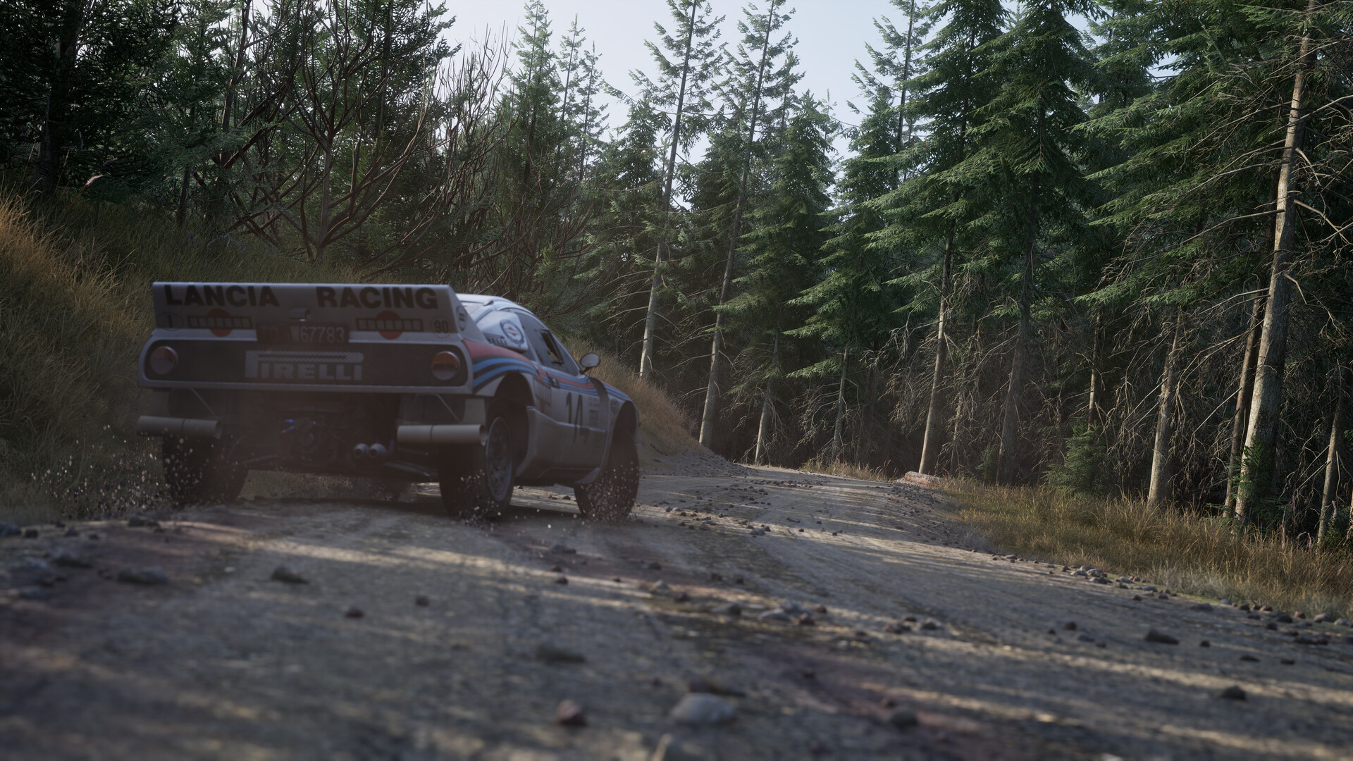 Assetto Corsa Rally Screenshot 53
