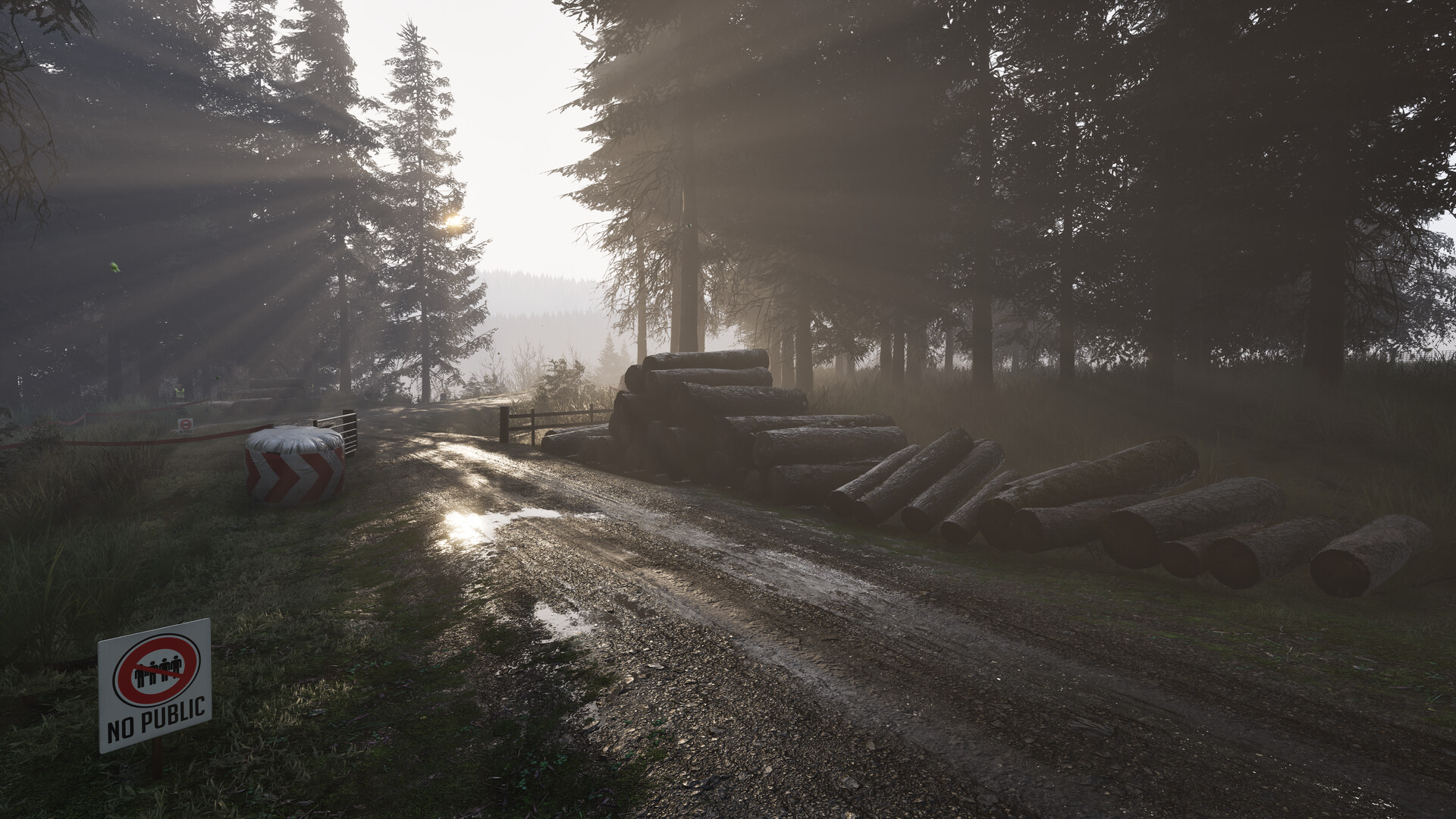 Assetto Corsa Rally Screenshot 82