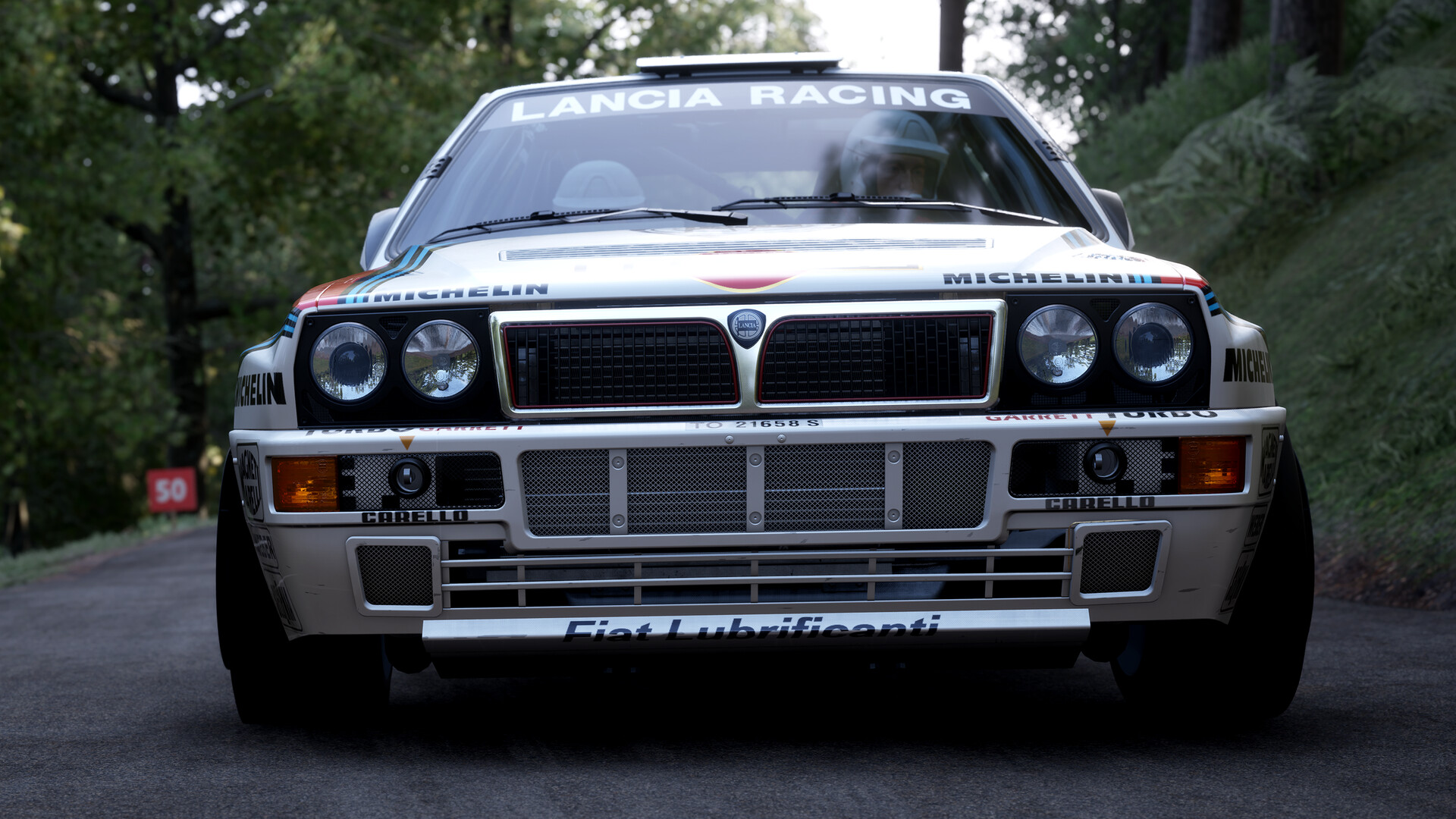 Assetto Corsa Rally Screenshot 92