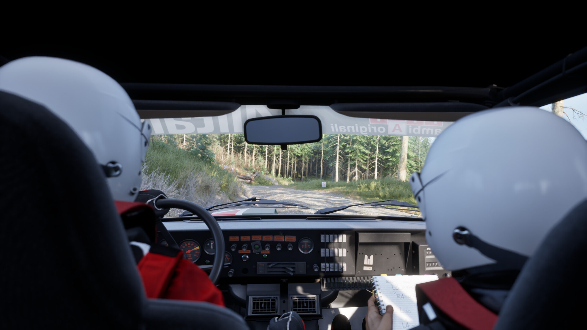 Assetto Corsa Rally Screenshot 54