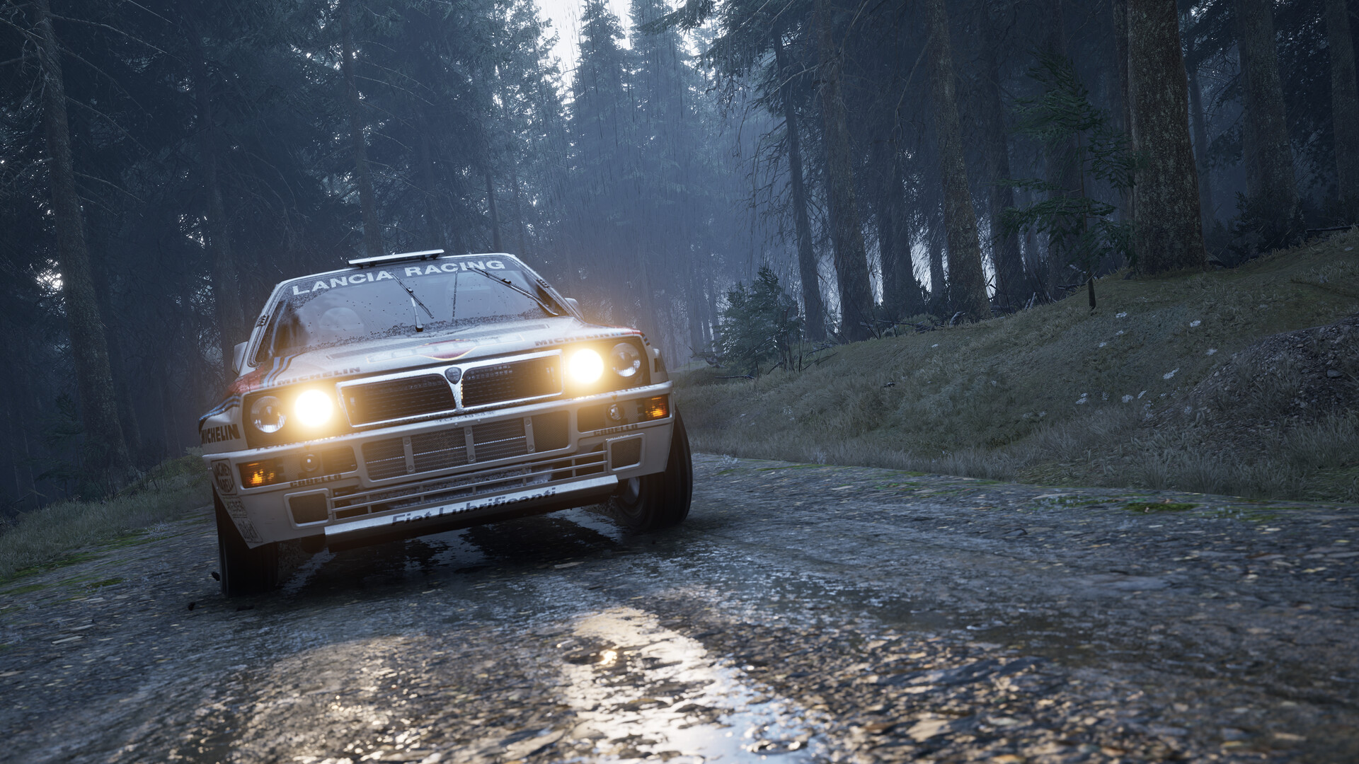 Assetto Corsa Rally Screenshot 102