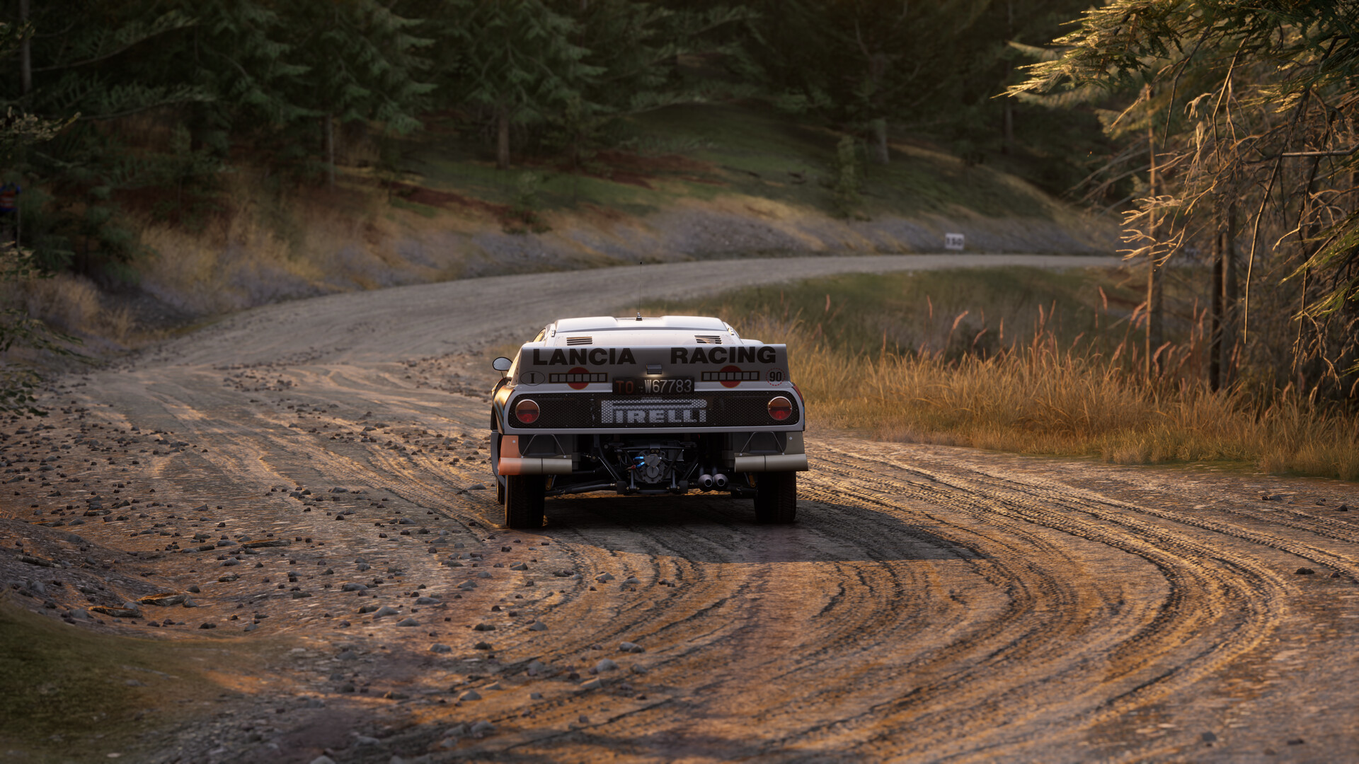 Assetto Corsa Rally Screenshot 58