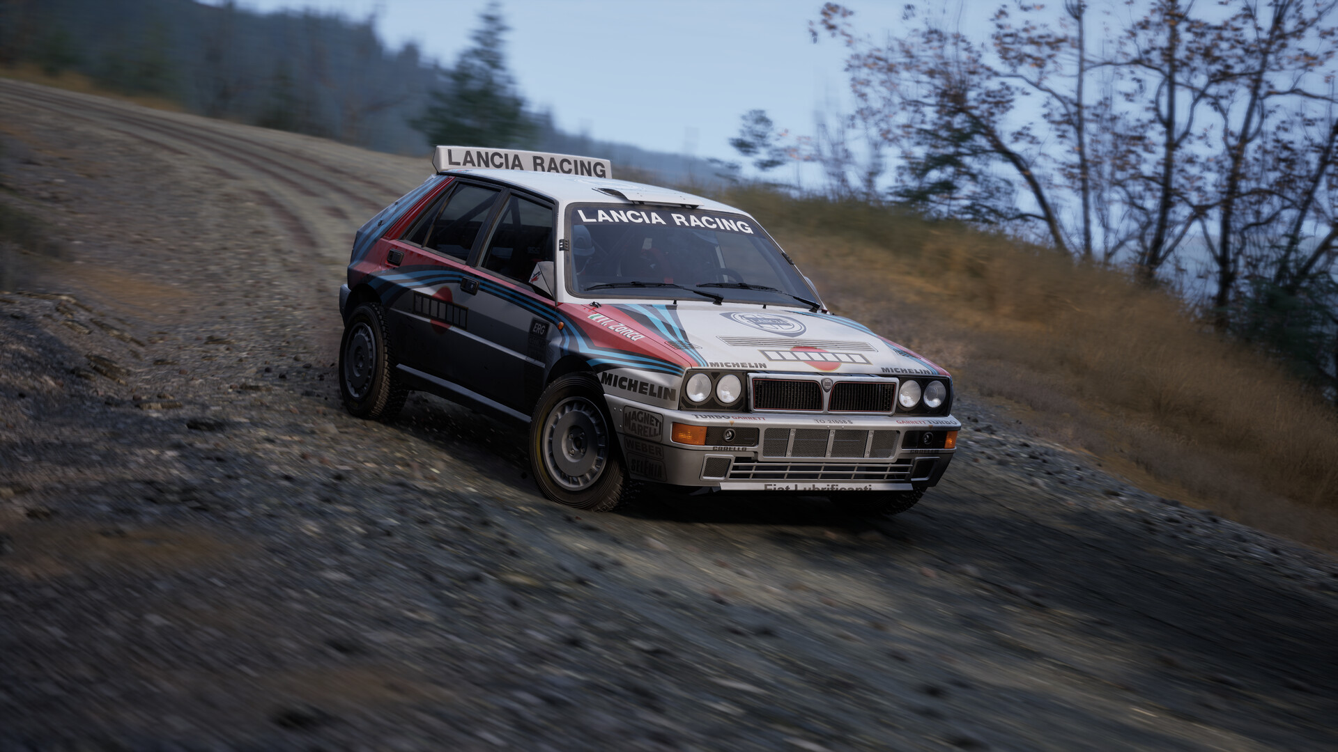 Assetto Corsa Rally Screenshot 85