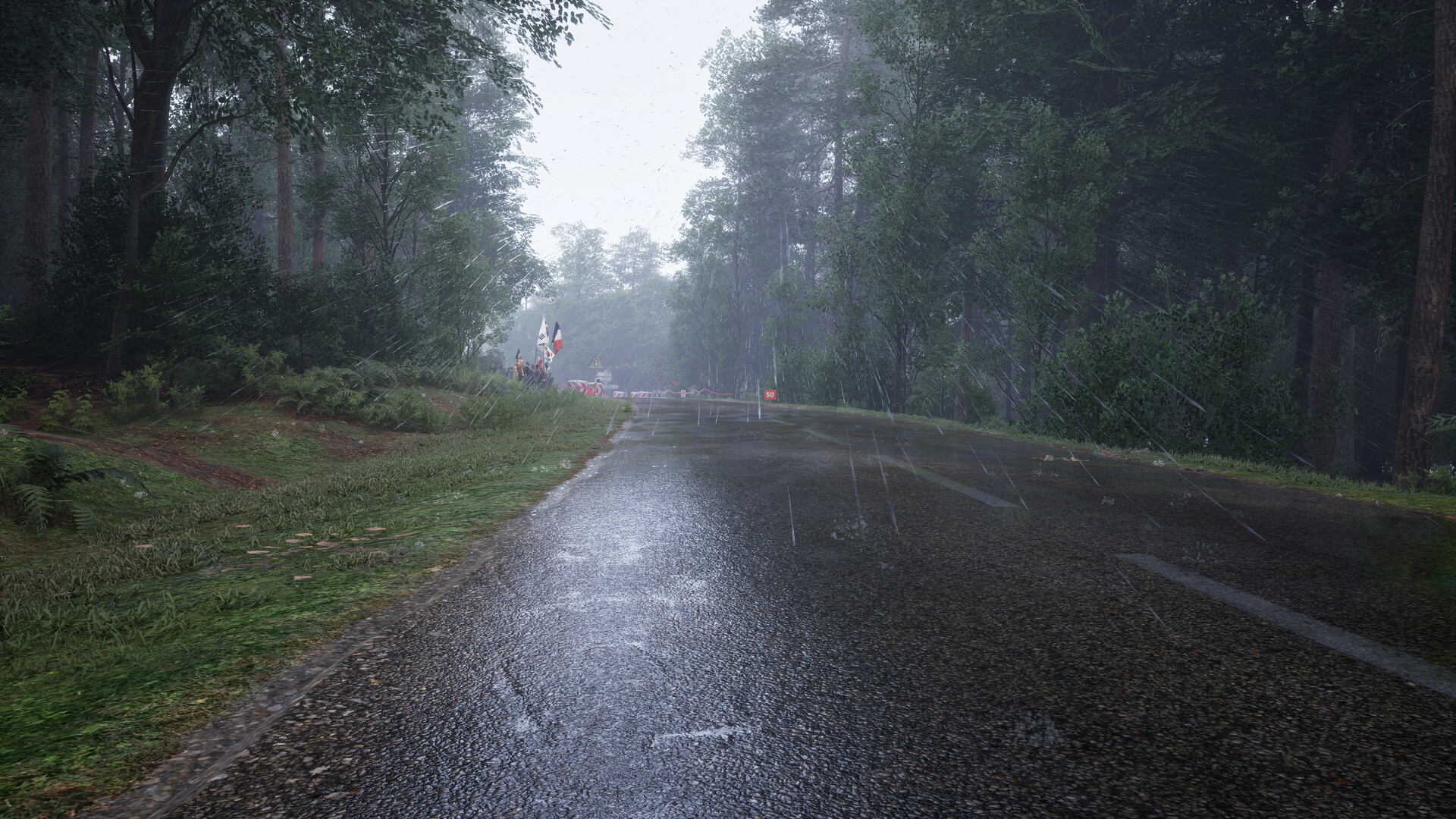 Assetto Corsa Rally Screenshot 57