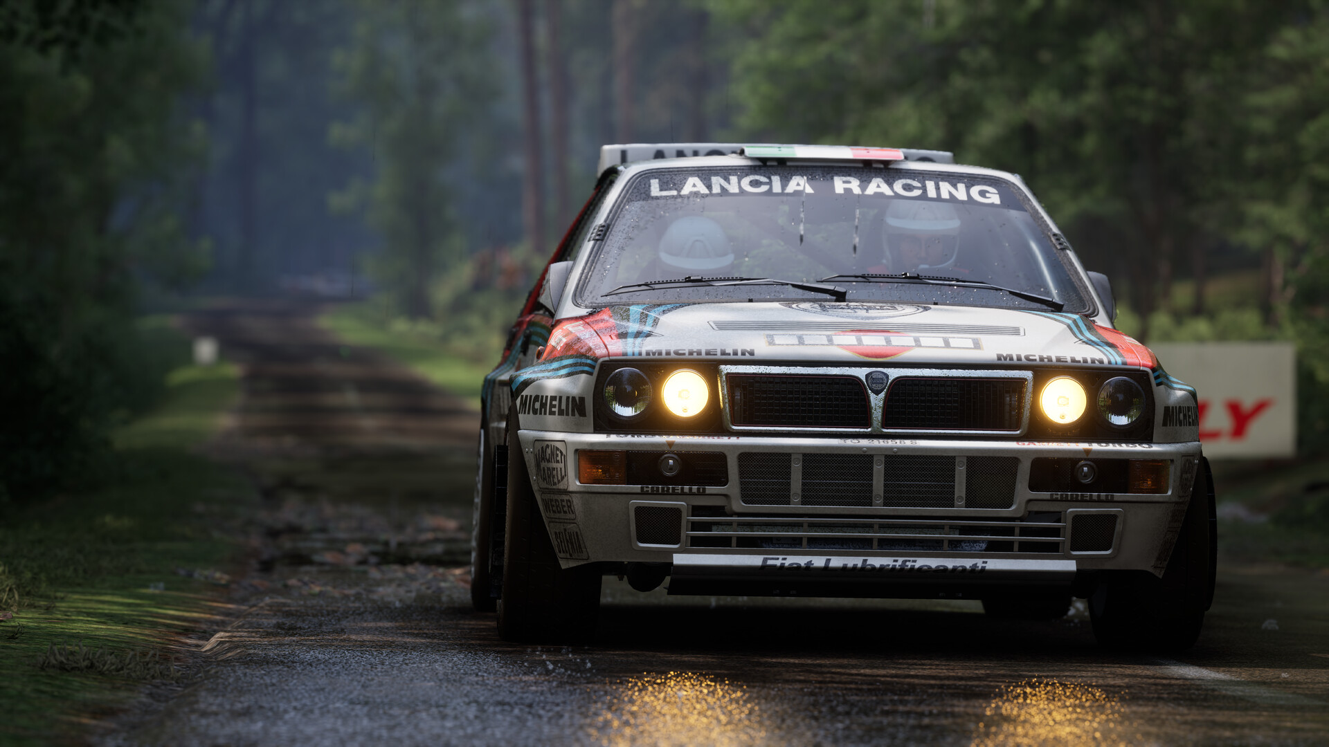 Assetto Corsa Rally Screenshot 47