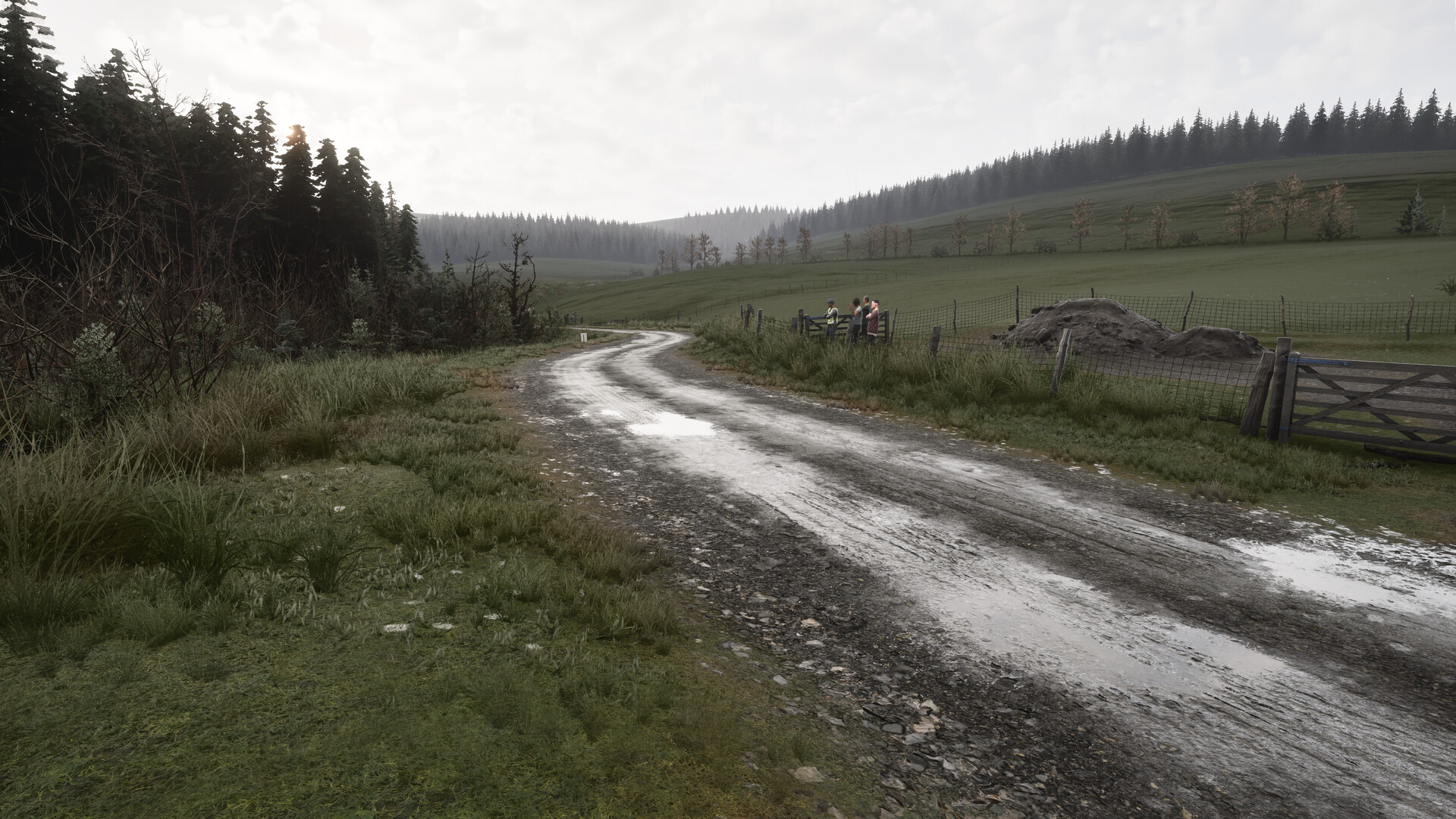 Assetto Corsa Rally Screenshot 72