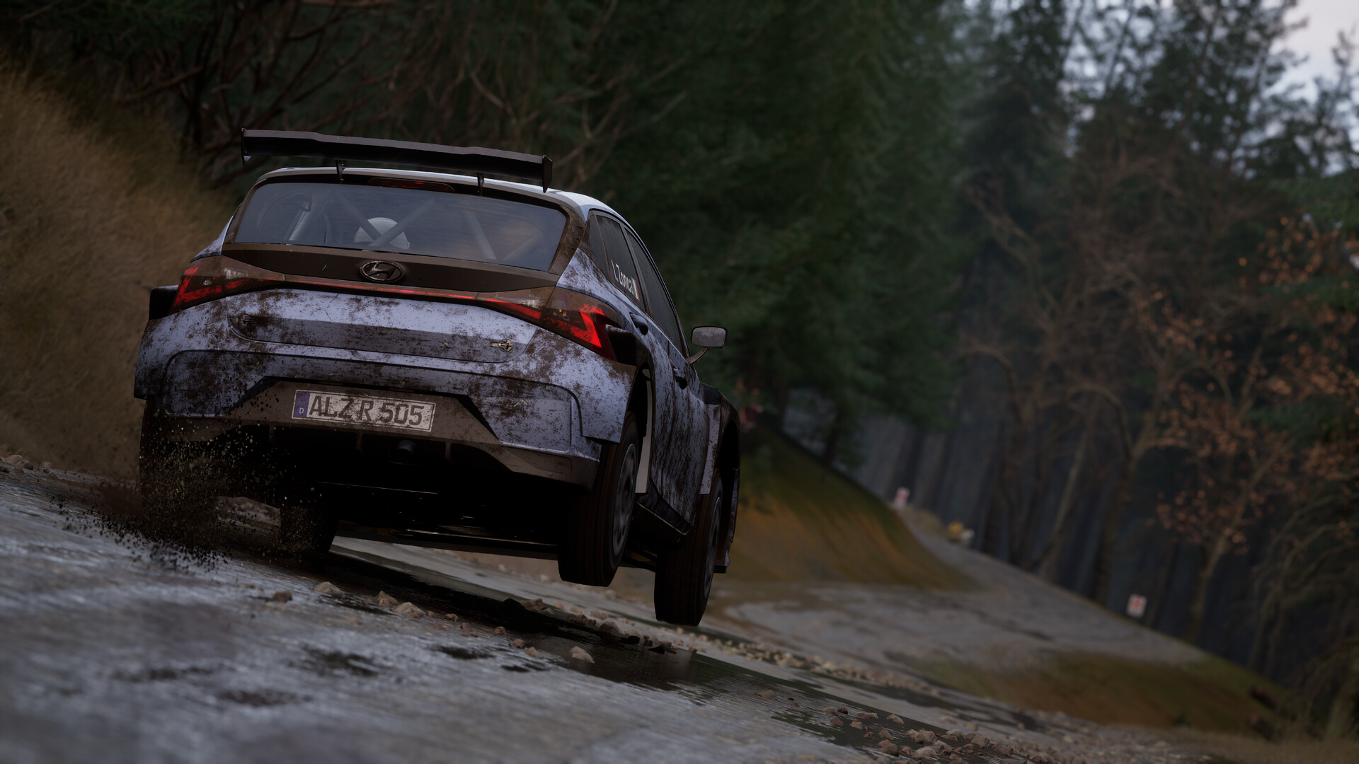 Assetto Corsa Rally Screenshot 76