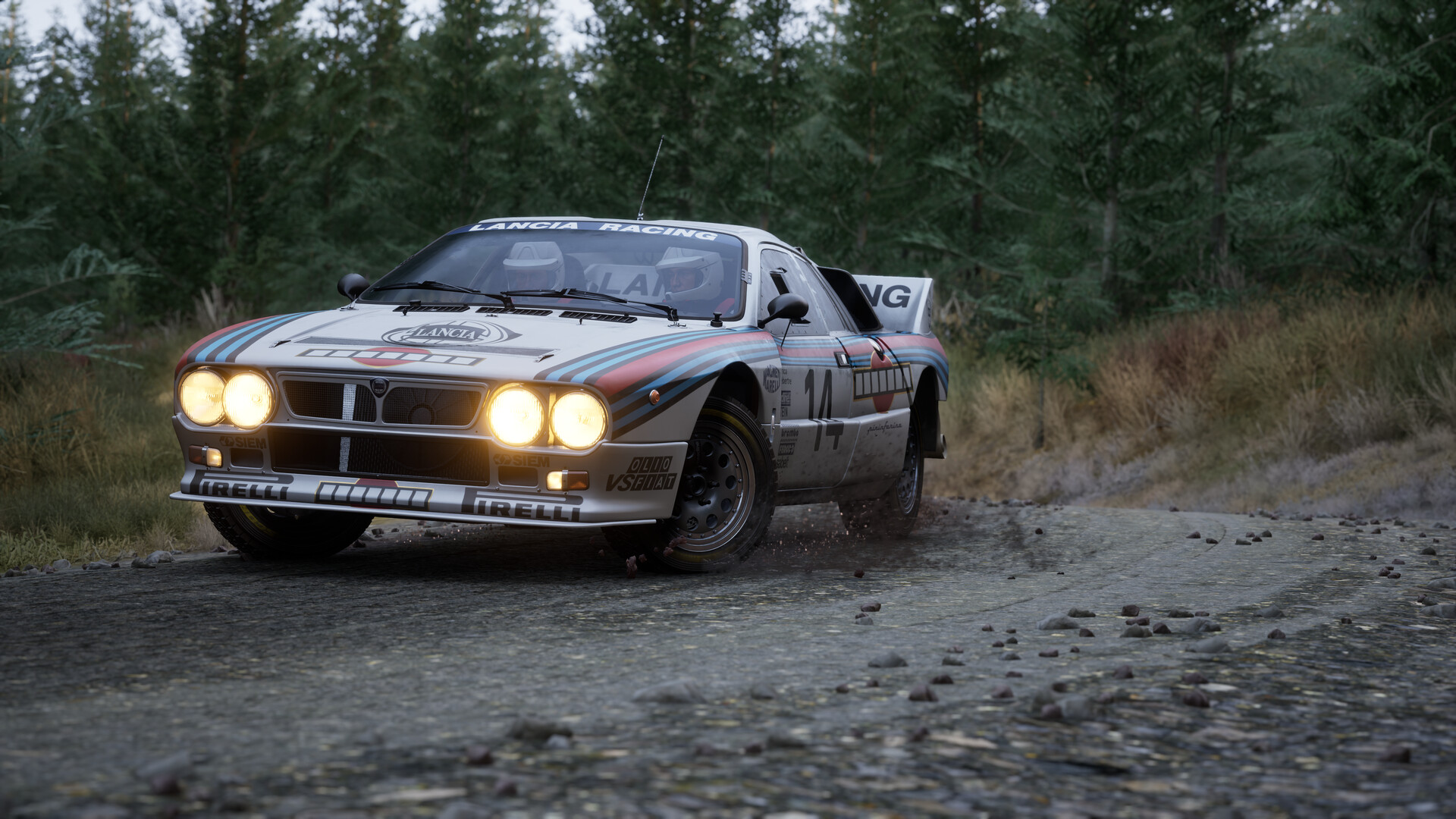 Assetto Corsa Rally Screenshot 51