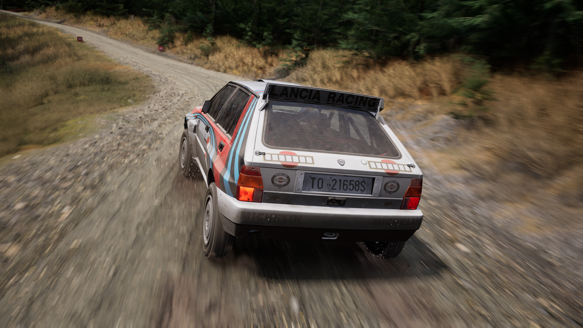Assetto Corsa Rally Screenshot 84