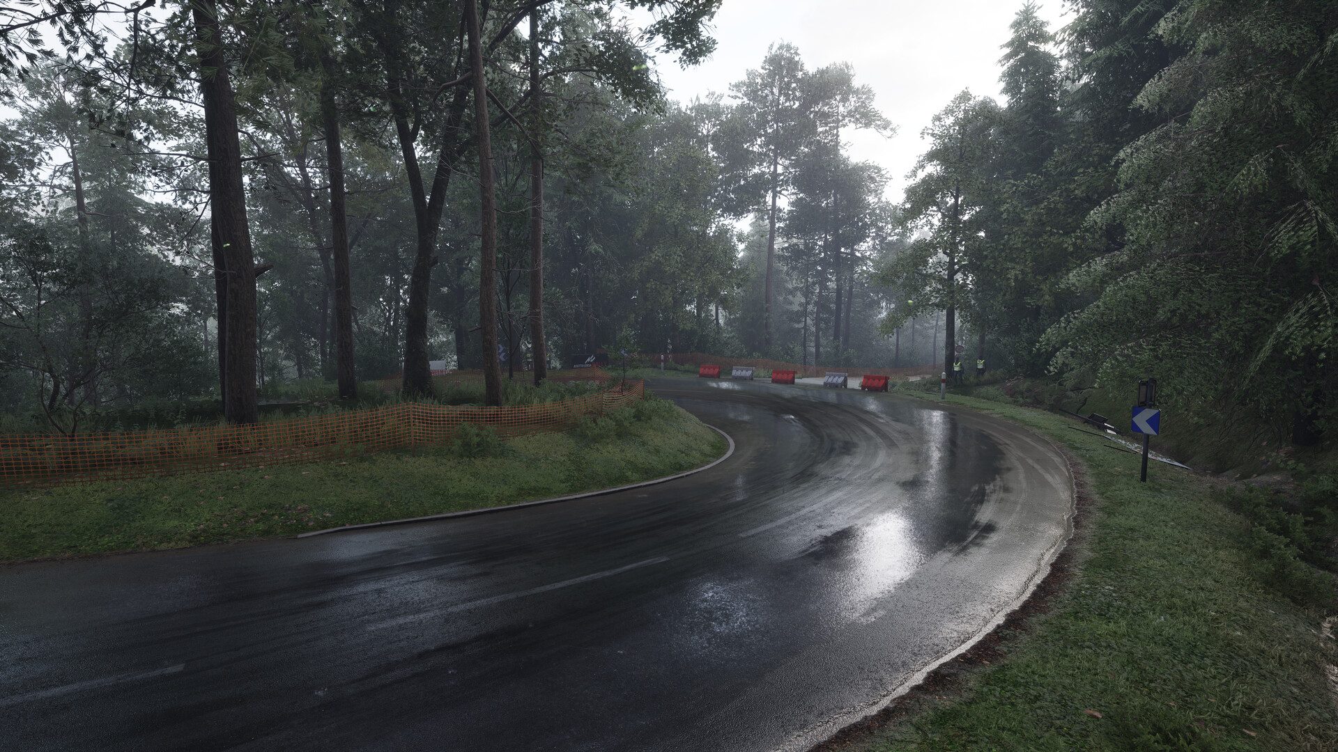 Assetto Corsa Rally Screenshot 80