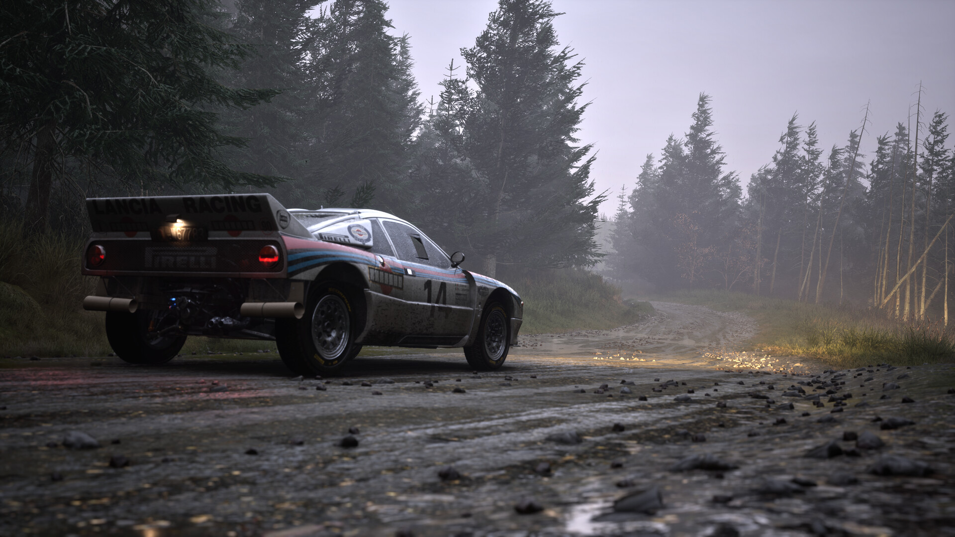 Assetto Corsa Rally Screenshot 59