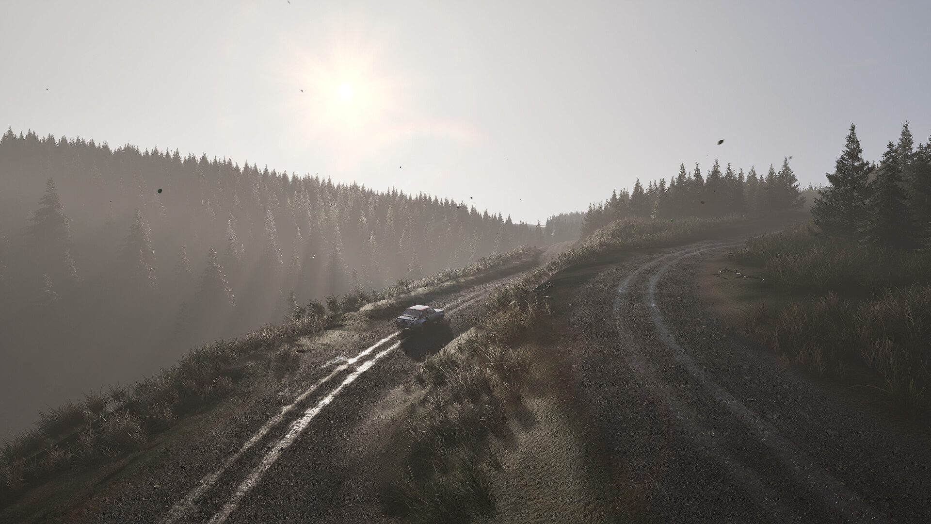 Assetto Corsa Rally Screenshot 83