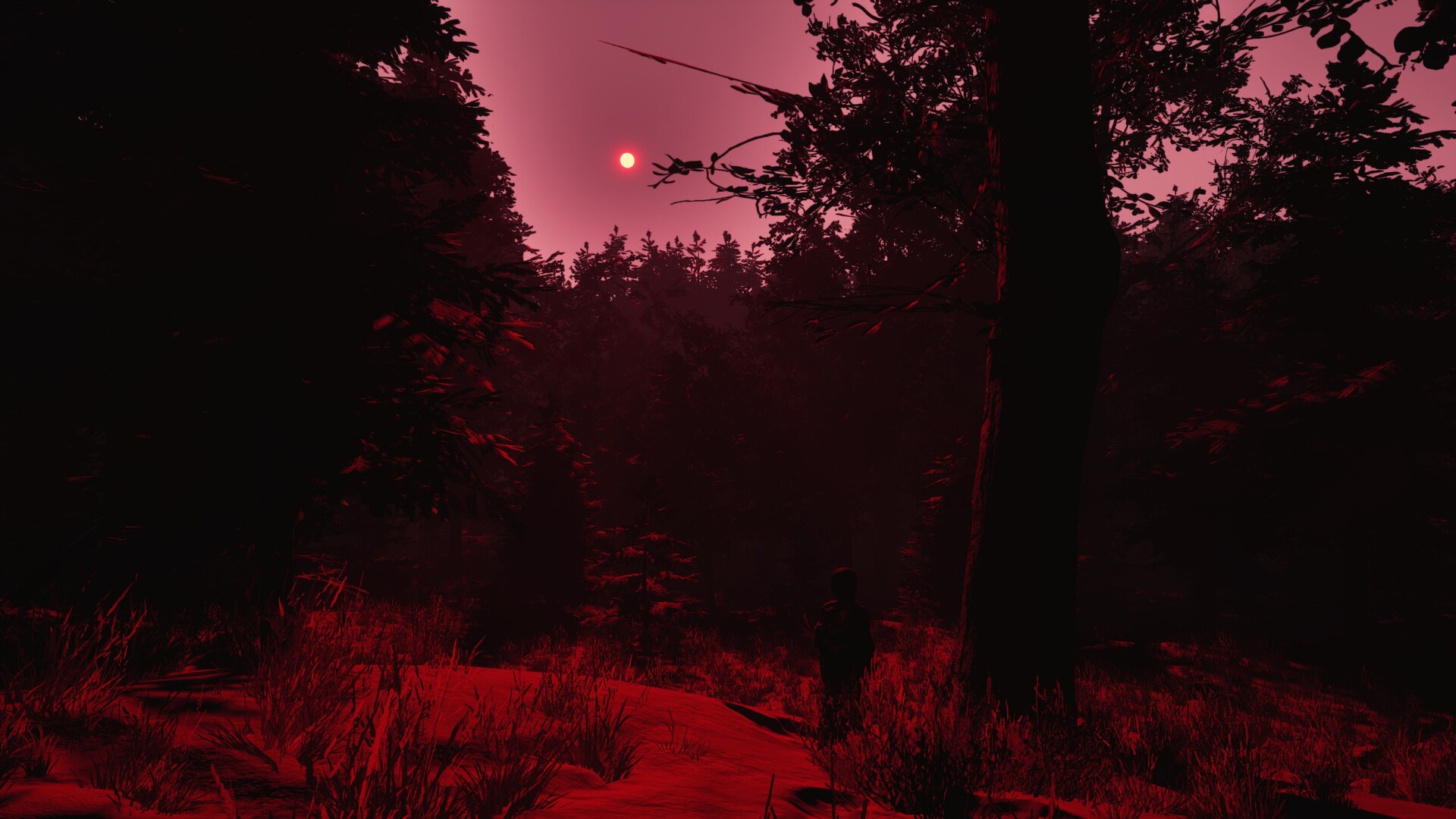 Mycelium: The Silent Contract Screenshot 6