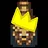 King Raccoon