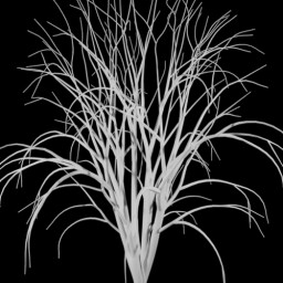 Visit MossField icon