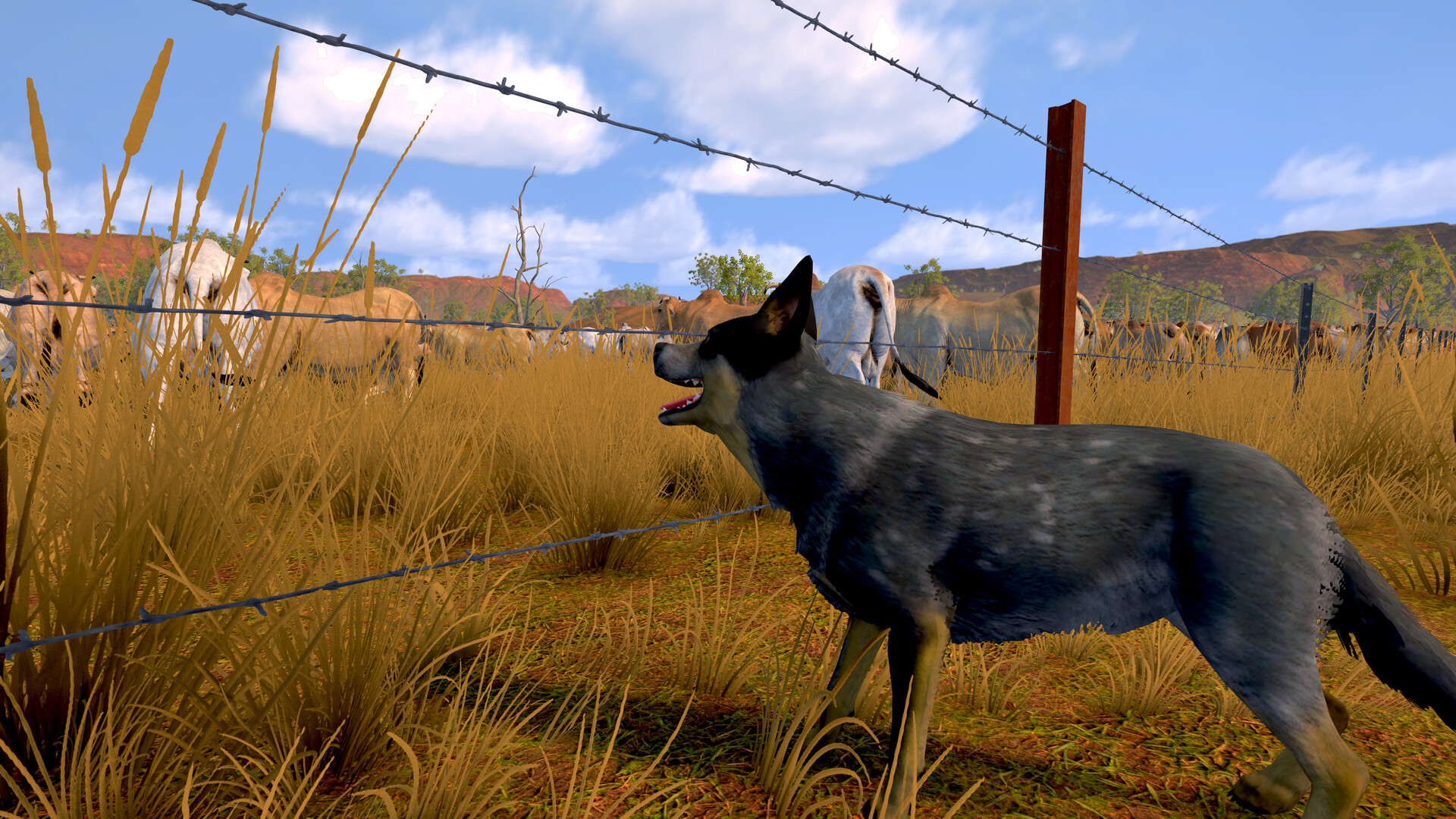 Pasture: The Livestock Simulator Demo Screenshot 1