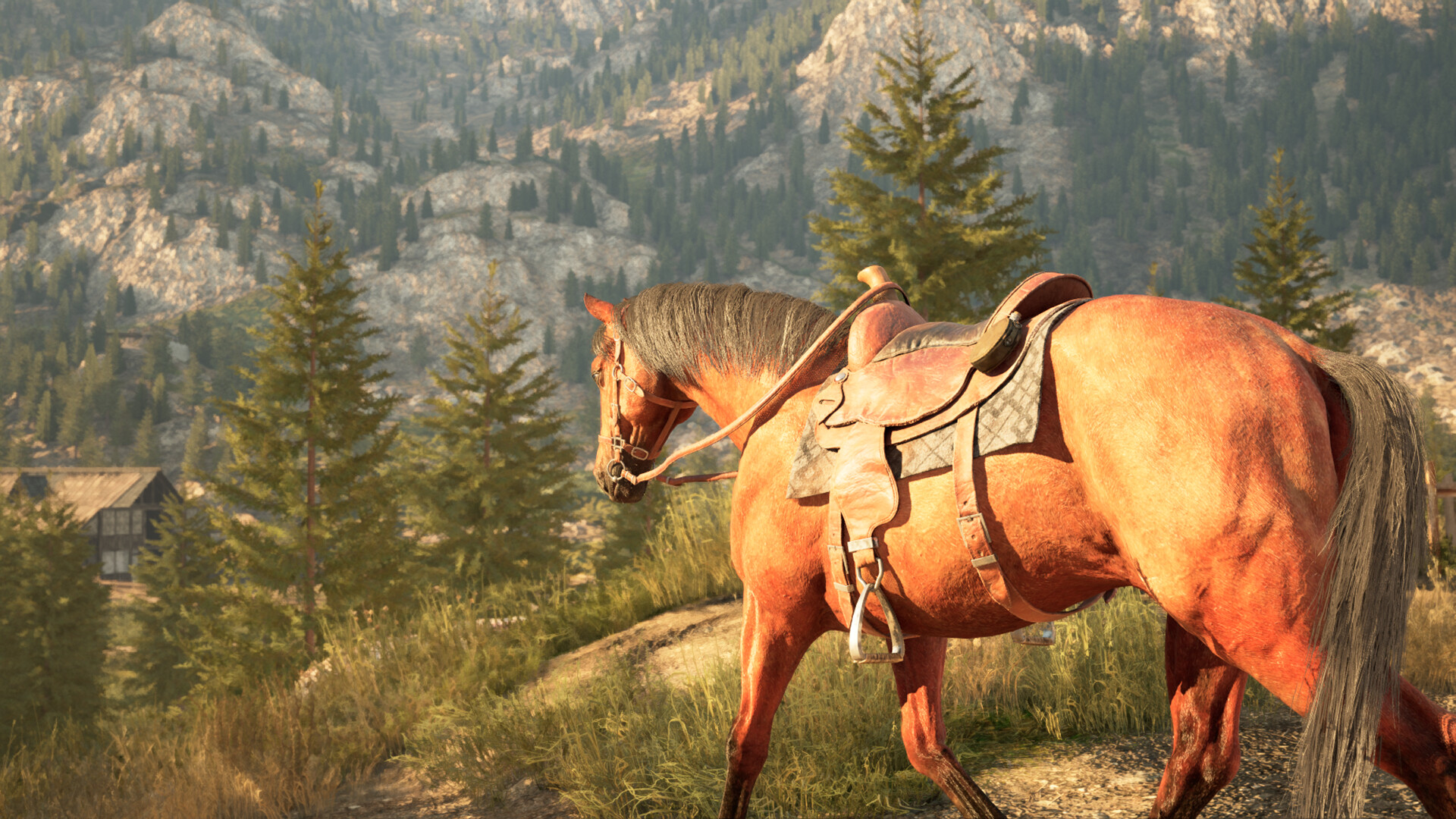 Medieval Horse Simulator Screenshot 2