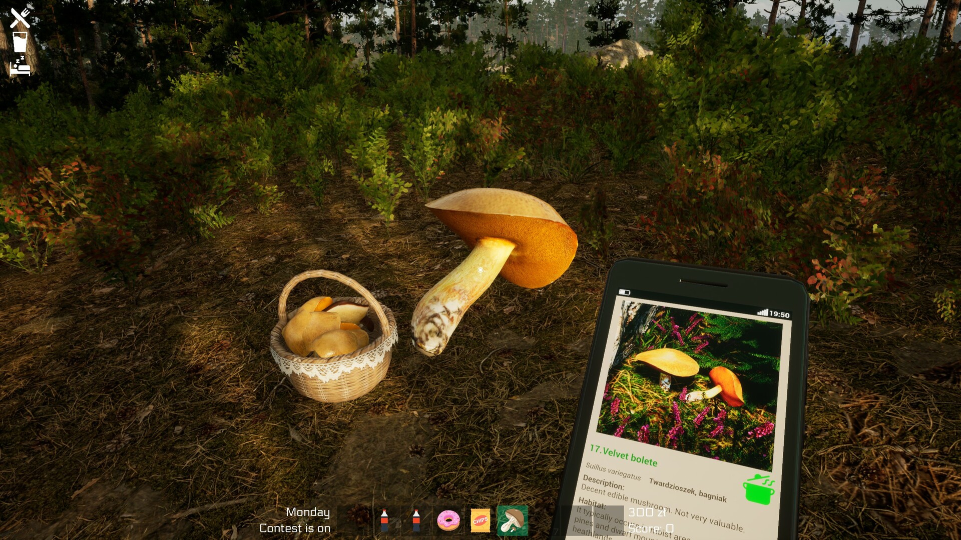 Mushroom Season Screenshot 2