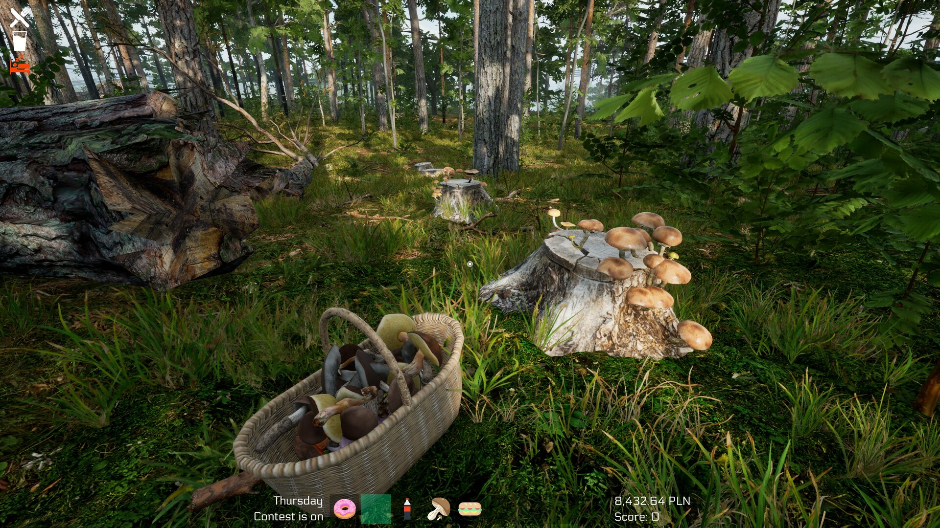 Mushroom Season Screenshot 7
