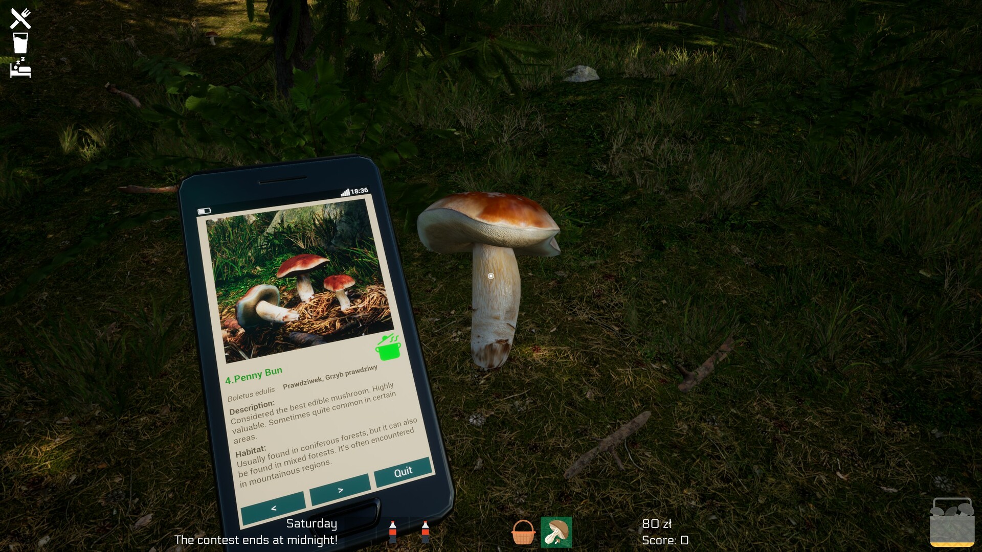 Mushroom Season Screenshot 37