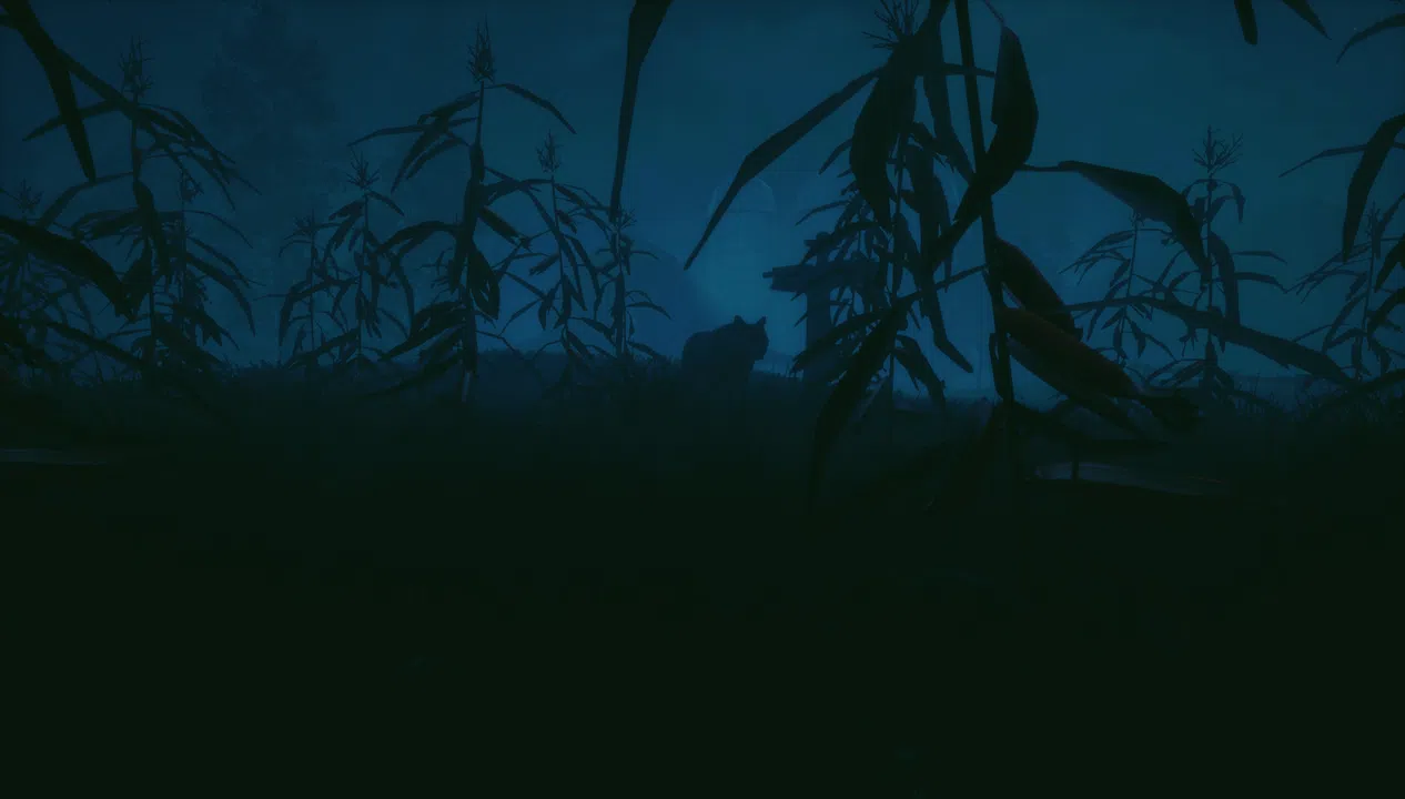 Outside Screenshot 4