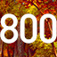 800 icon