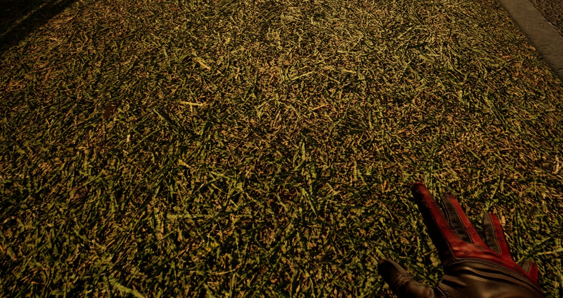 Touch Grass Together Screenshot 5