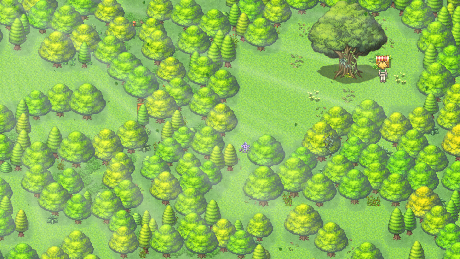 A Life's Journey Screenshot 4