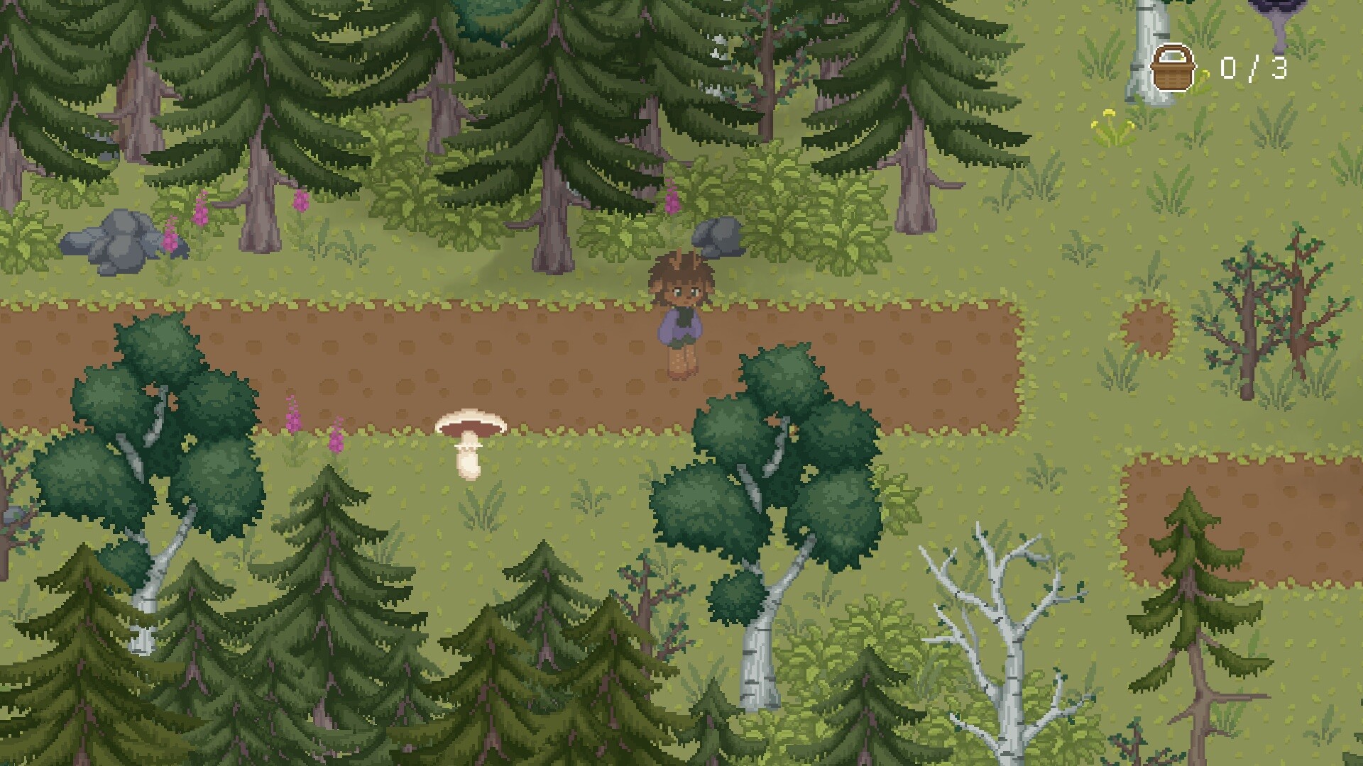 The Mushroom Journal Screenshot 0