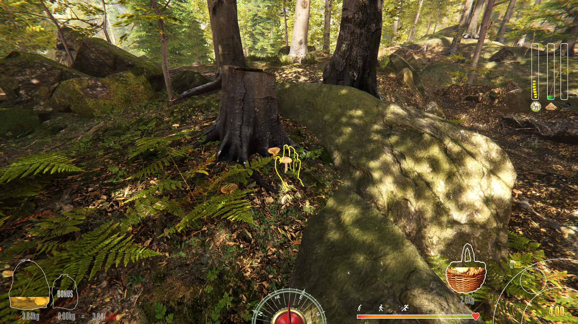 Forest Ranger Simulator Screenshot 25