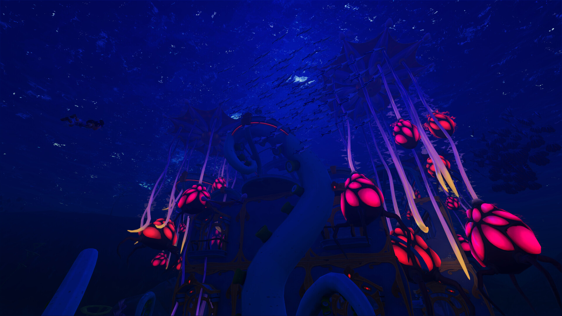 Critter Cove Screenshot 7