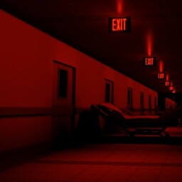 Im Running for my Life icon