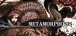 METAMORPHOSIS