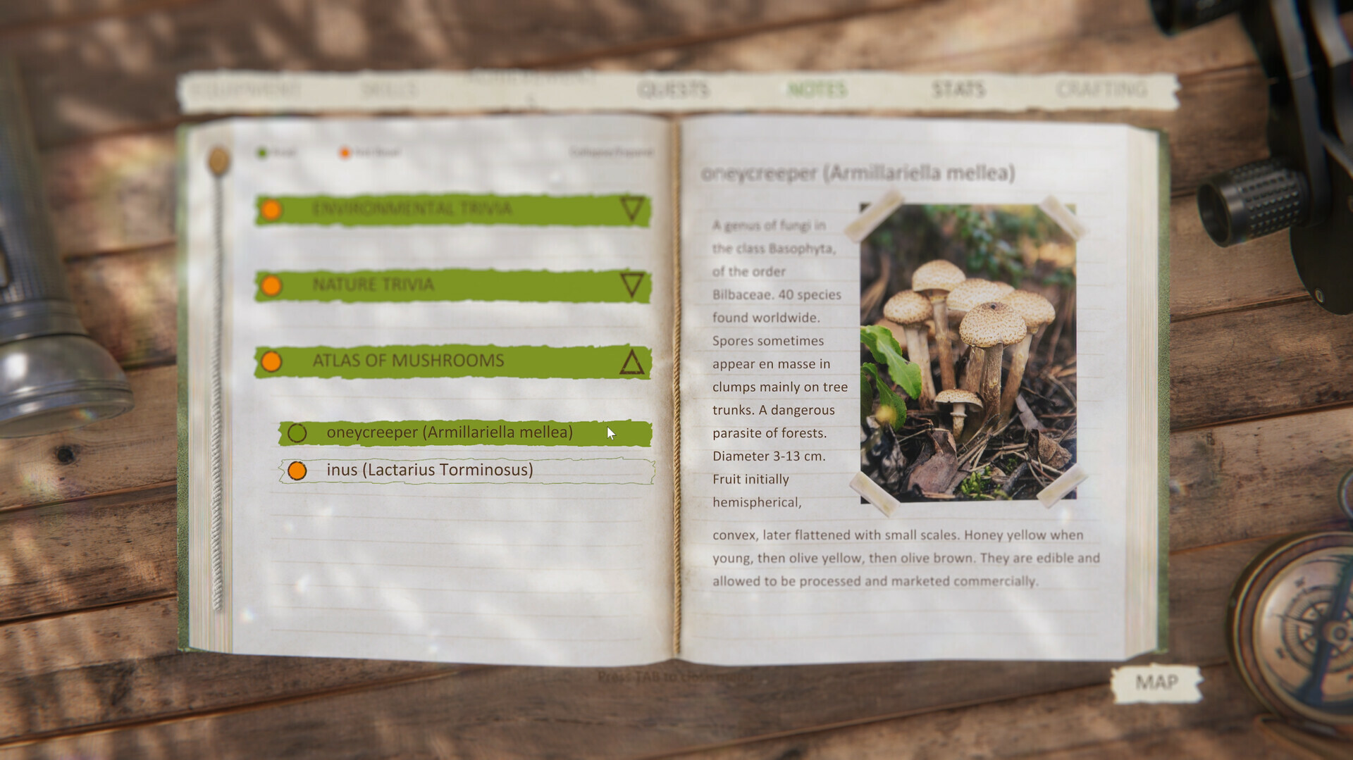 Forest Ranger Simulator - Apprenticeship Screenshot 2