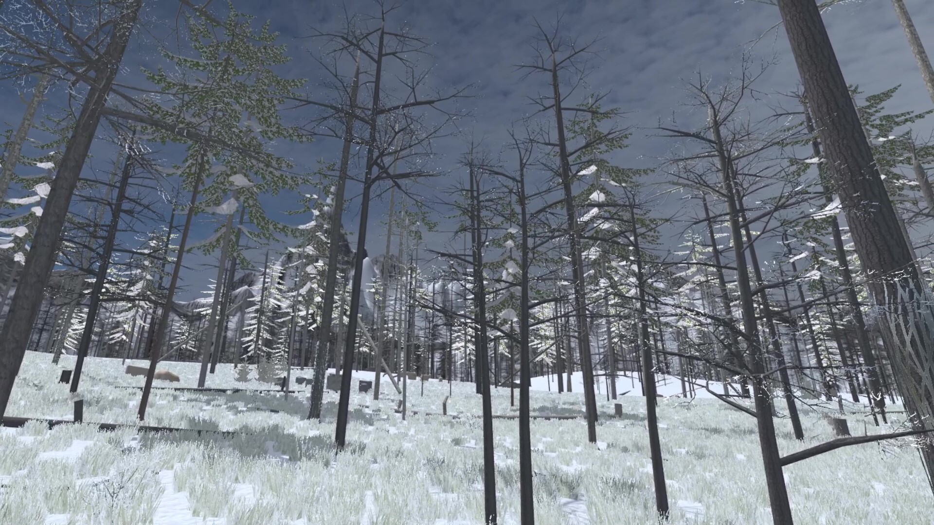 Forest Construction VR Screenshot 9