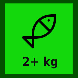 Fish with average size icon