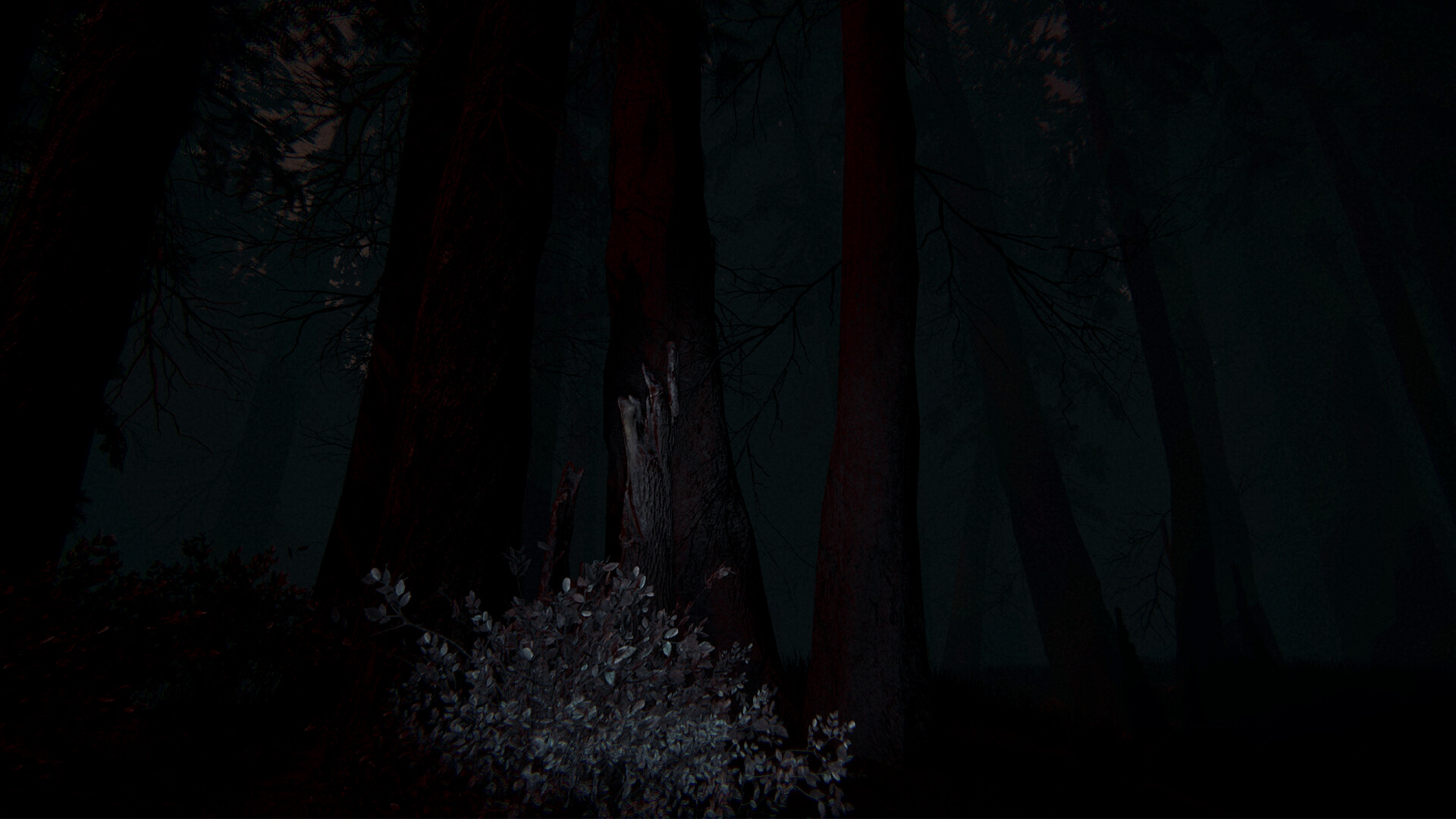 Shroud of the Woods Screenshot 6